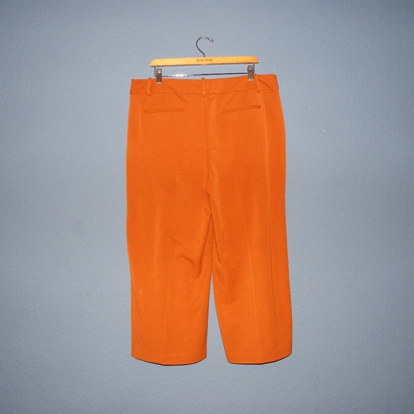 NEW Burnt Orange Wide-Leg Crop Fashion Pants 16 B3 - Picture 5 of 8
